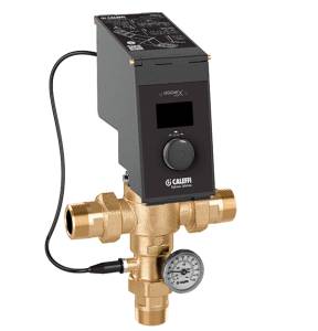 Electronic Legionella disinfection valve
