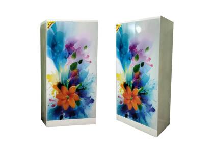 Steel Printed Design Almirah