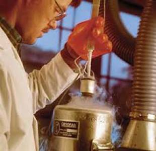 Liquefied Gases