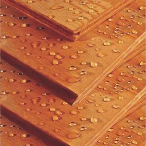 PREMIUM MARINE PLYWOOD