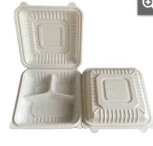 Plastic Disposable Tray