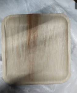 Areca Leaf Plate