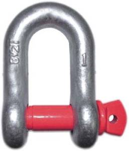 DEE SHACKLES