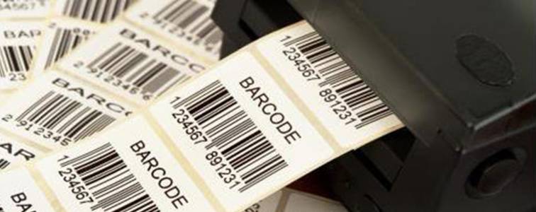 Plain Barcode Labels