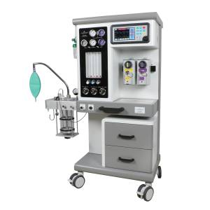 Anesthesia delivery system