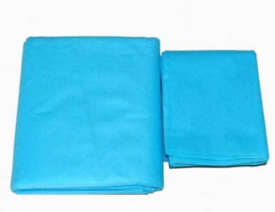 Disposale Bed Spread With Pillow Cover