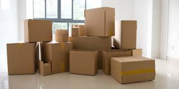 Domestic Moves