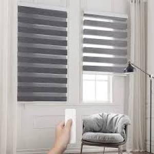 Curtain Motors