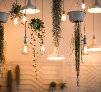 Lighting