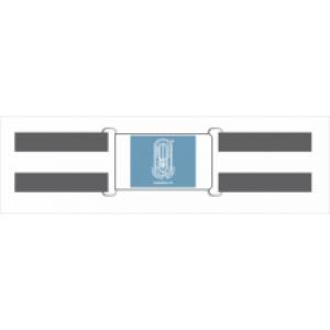 Chinmaya Vidyalaya BELT