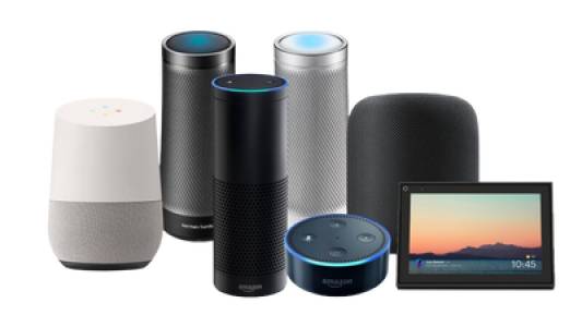 Voice Controls