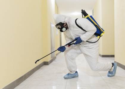 Pest control service