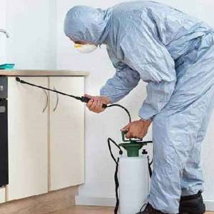 PEST CONTROL