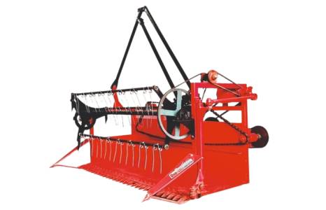 Chana Cutter