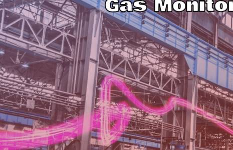 Gas Monitoring System