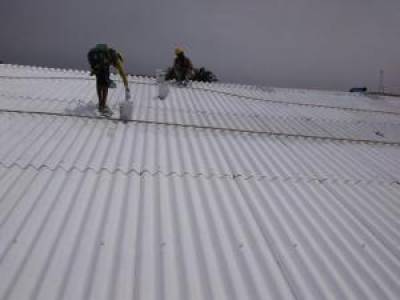 Eco-friendly properties