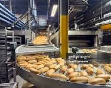 Food Processing