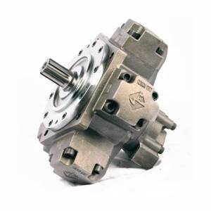 Radial Piston Motor