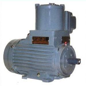 AC Flame Proof Motors