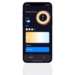 Effortlessly Adjust and Dim Lights with the Innovative Wynbee Smart App