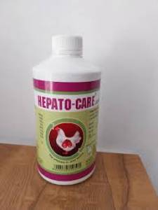 HEPATOCARE