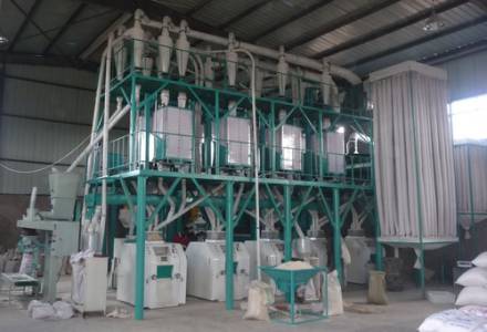 FLOUR MILL