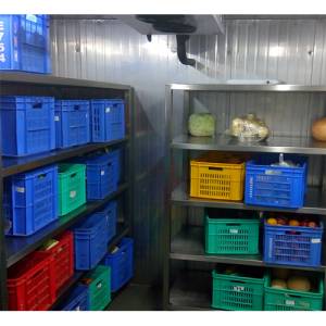 Cold Storages - Vegetables
