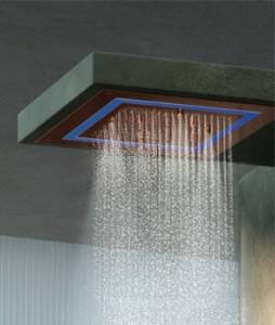Duoflo Shower