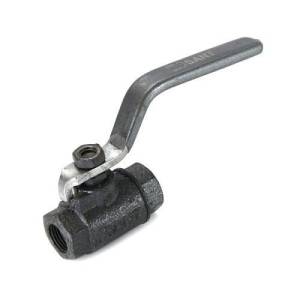 Ball valve casting