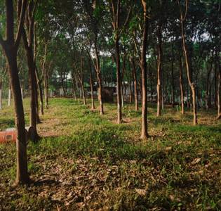 Rubber industry