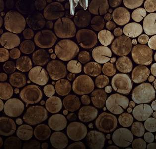 wood industry