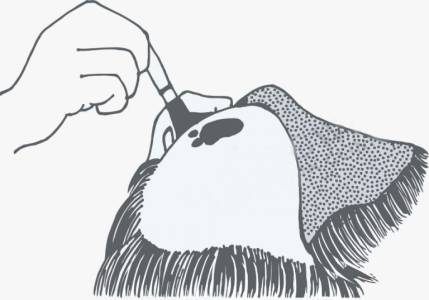 HAIR BONDING/HAIR FIXING