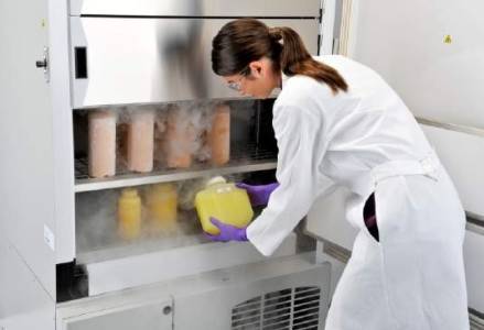 Blast Freezer and Chiller