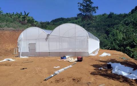 Protected Cultivation