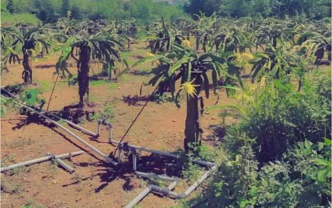 Irrigation Systems