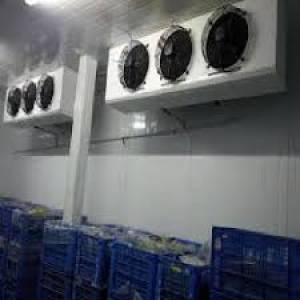 WALK-IN COLD ROOM AND WALK-IN FREEZER ROOM