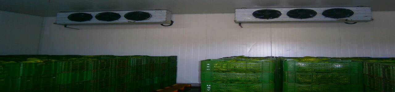 RIPENING CHAMBERS