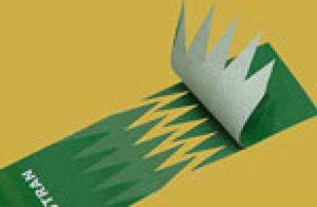 Polyester Web Conveyor Belts