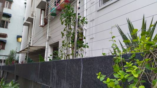 Solar Fencing Systems