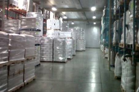 1000 Pallets