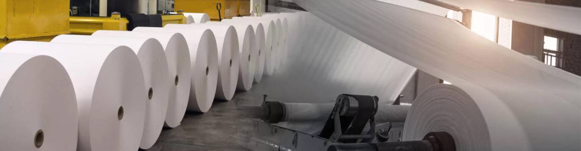 Pulp & Paper