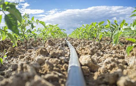 DRIP IRRIGATION SYSTEM