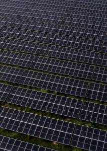 Renewable Energy Park