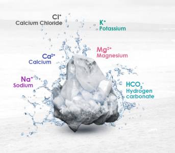 Wellness of Vital Organic Minerals