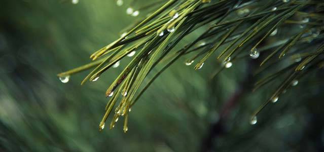 Goodness Of Natural Minerals
