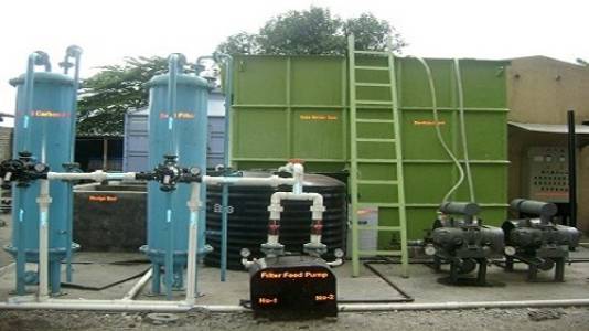 STP Plants