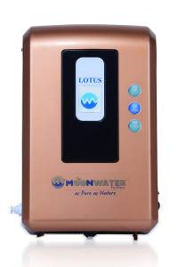 Domestic water purifier