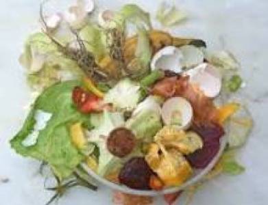 Organic Waste Converters