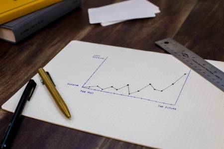 Budget Estimates