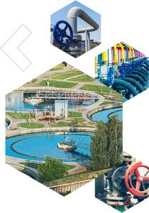 ETP Plants